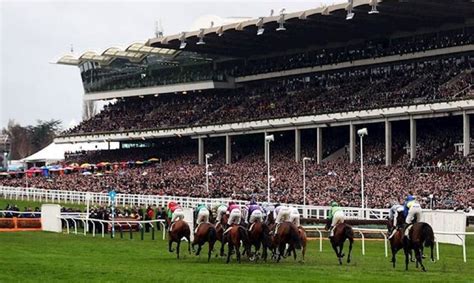 cheltenham tips tomorrow